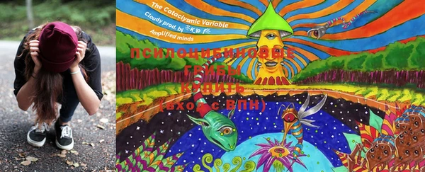 MESCALINE Алзамай