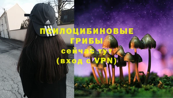 соль курить ск Алексеевка